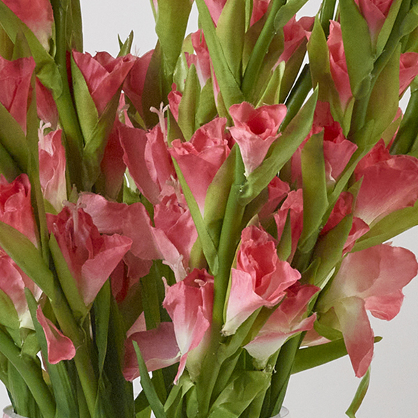 artificialpinkgladioluscloseup
