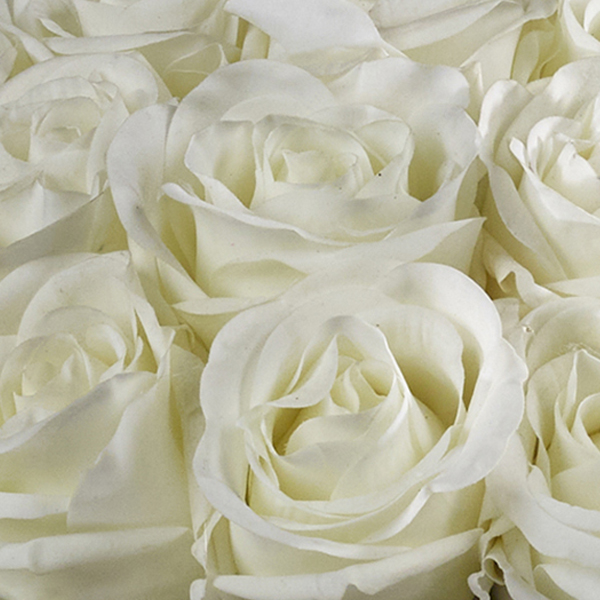 realtouchwhiterosescloseup
